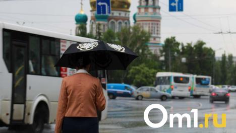 Готовьтесь к непогоде: волна холода и дождей накроет Омскую область