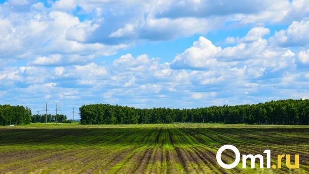 Омские власти вводят режим ЧС ради страховок