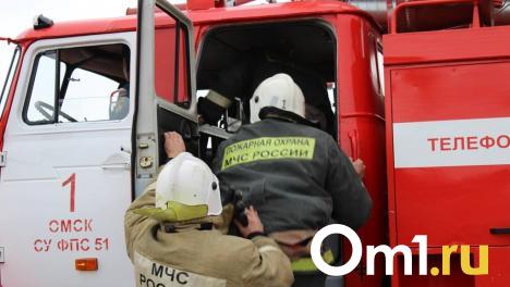 В Омской области женщина погибла при пожаре: следователи проводят проверку