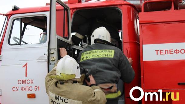 В Омской области женщина погибла при пожаре: следователи проводят проверку