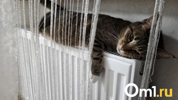 В Минэнерго сделали заявление о завершении отопительного сезона в Омске