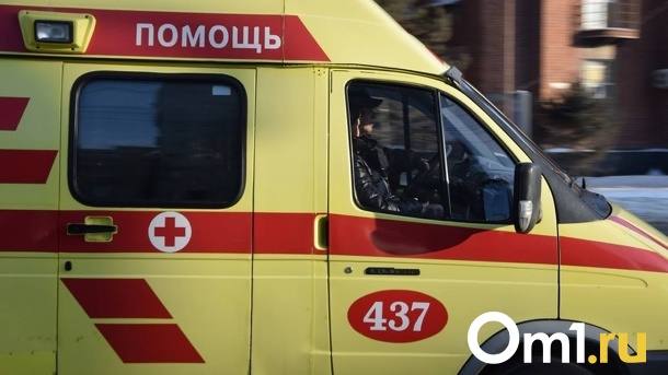 Прокуратура проверит омского перевозчика, чей водитель сбил школьников на пешеходном переходе