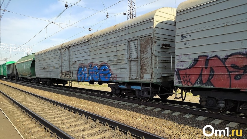 В Омской области посадят иностранцев, которые незаконно пересекли границу в товарном поезде