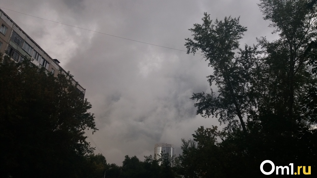 Бабье лето кончилось. Проливной дождь, порывистый ветер и похолодание до -2 ожидаются в Новосибирске