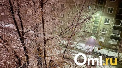Омичей предупреждают об опасной изморози: возможны обрывы и короткие замыкания