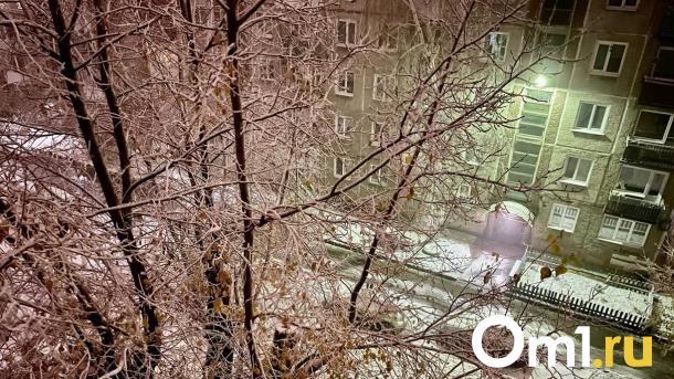 Омичей предупреждают об опасной изморози: возможны обрывы и короткие замыкания
