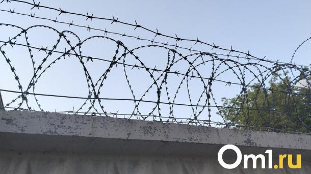 Сибирячка, отсидевшая в тюрьме, снова попала туда за кражу и нападение