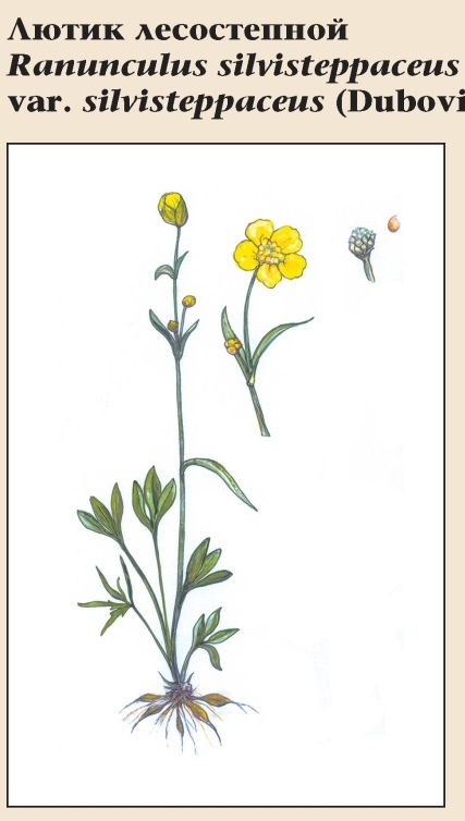 Изображение фоторепортажа