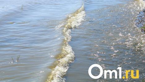 Ассенизаторы сливают нечистоты в реку напротив Чернолучья