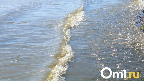 Ассенизаторы сливают нечистоты в реку напротив Чернолучья