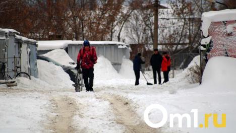 Спрос на курьеров в Омской области за год увеличился на треть