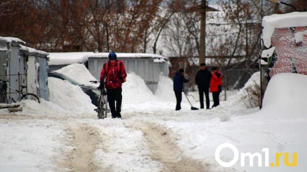 Спрос на курьеров в Омской области за год увеличился на треть