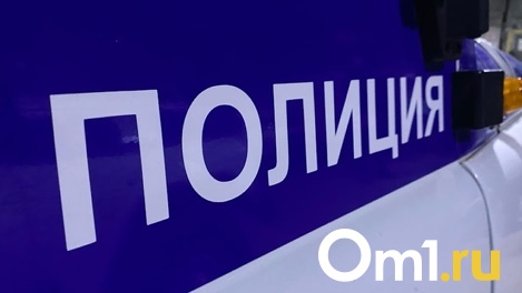 Тело 29-летнего новосибирца нашли в «Саду Кирова»
