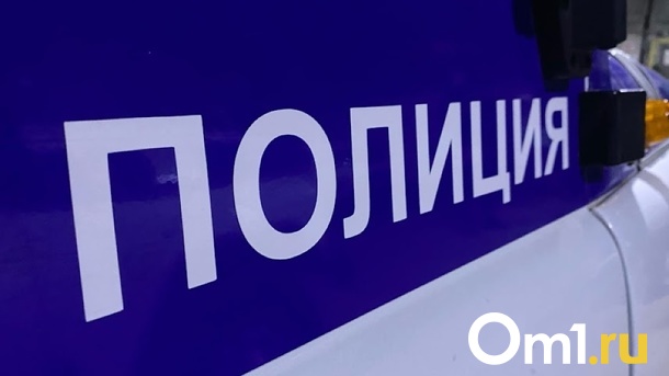 Тело 29-летнего новосибирца нашли в «Саду Кирова»