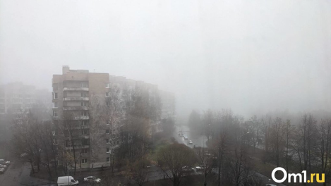 Показатель загрязнения воздуха в Новосибирске ухудшился 9 мая в 23 раза из-за лесных пожаров