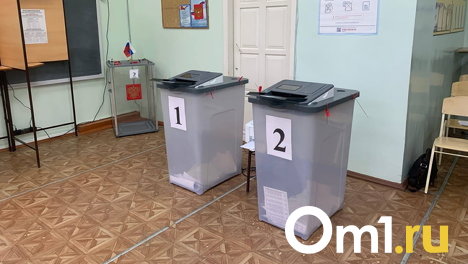 Электронное голосование в Омске введут на выборах президента в 2024 году