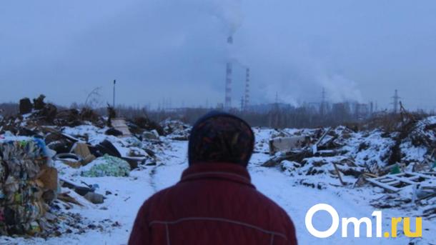 Токсичная тайна Ленобласти: как мусорный монополист губит природу