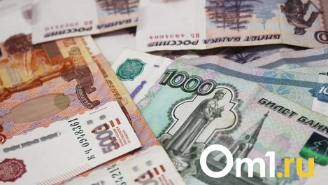 Мишустин ответил омскому депутату об индексации социальных выплат в связи с ростом цен
