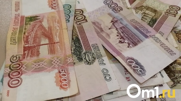 Выплаты к школе в 2022 году: на какие пособия могут рассчитывать родители новосибирских школьников