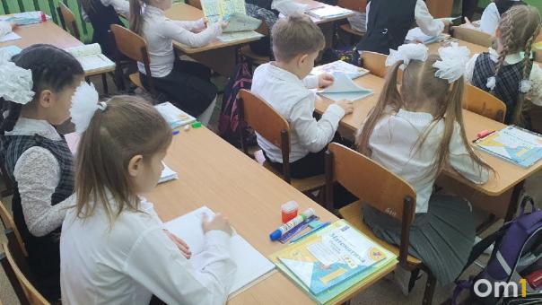 «Моего ребёнка доводят»: мать обвинённой в драке школьницы рассказала свою версию событий