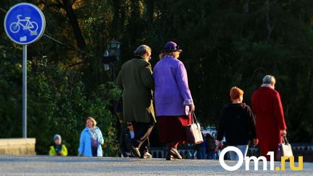 Чем больше детей - тем раньше пенсия. Политолог оценил идею депутатов Госдумы