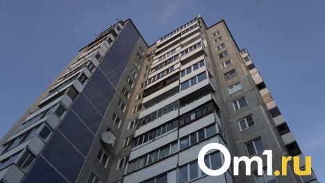 В Омске на ребёнка упал кусок шифера с пятиэтажного дома