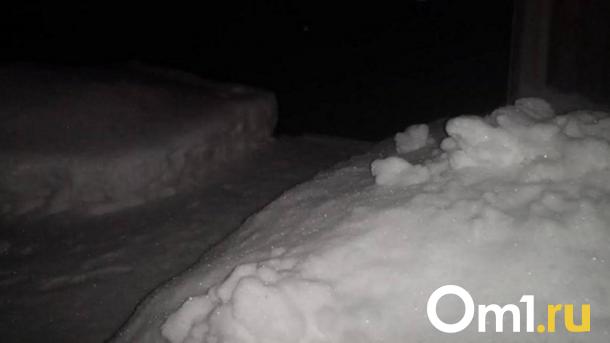 На блогера, бросившего сына в сугроб, Бастрыкин поручил возбудить дело