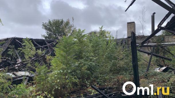 На руинах кирпичного завода у «Южного» хотят развернуть торговлю