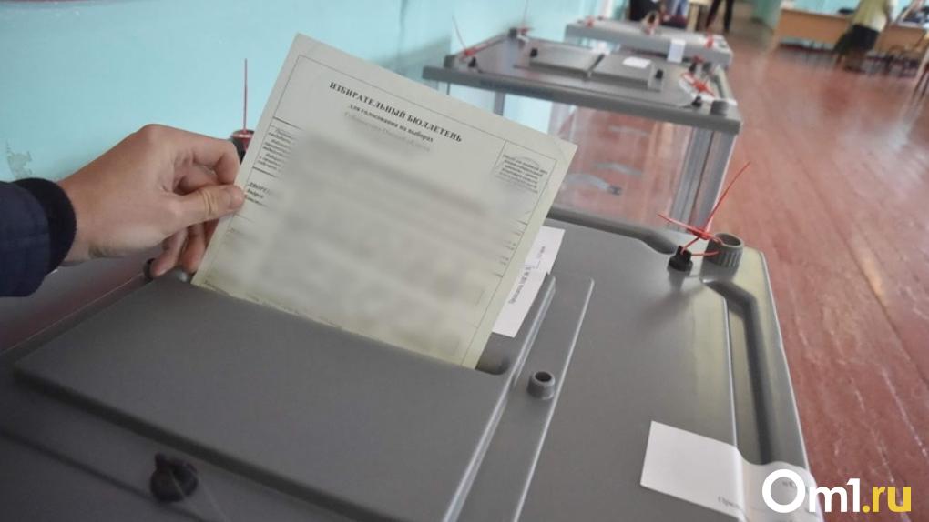 В Омске для выборов президента изготовили 6 тонн бюллетеней