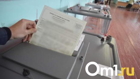 В Омске для выборов президента изготовили 6 тонн бюллетеней