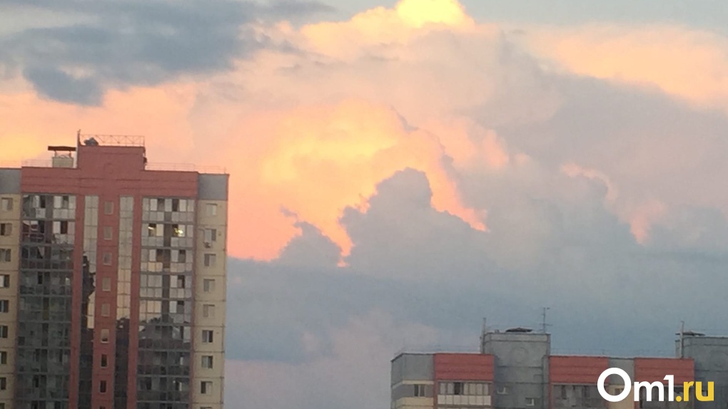 Розовое небо на исходе дня: новосибирцев заворожили малиновые облака