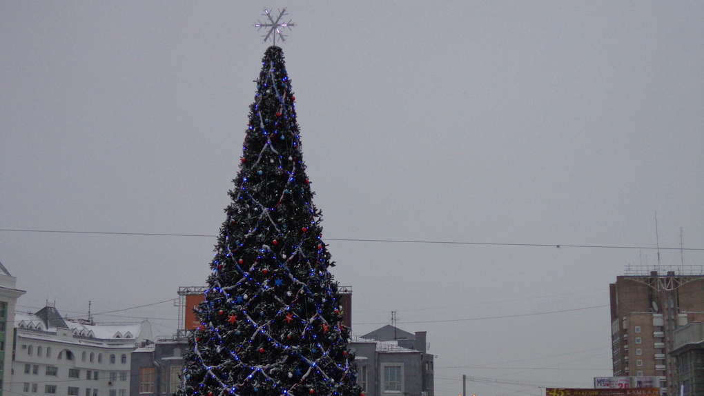 В центре Новосибирска появится елка за один миллион рублей