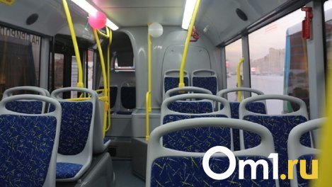 В Омском транспорте ездит агрессивная женщина, которая нападает на пассажиров и кондукторов