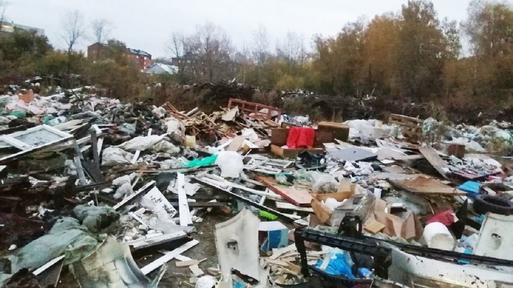 Свалка размером с футбольное поле: когда уберут мусор около Соснового бора в Новосибирске