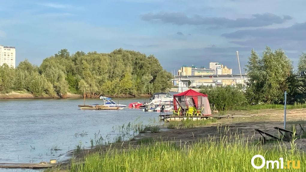 Появилось фото с места обнаружения трупа девочки, которую искал весь Омск