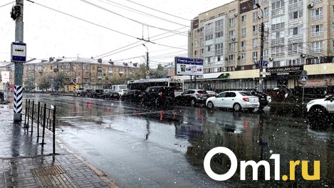 На омском проспекте Мира торговые места оказались одними из самых дорогих в стране