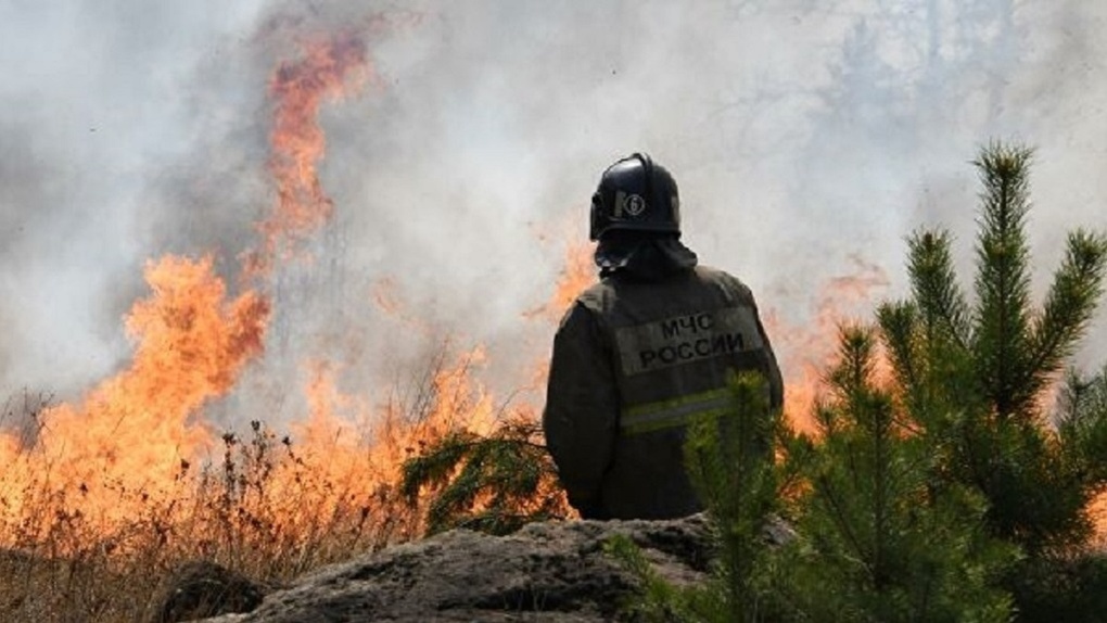 Рекордное число пожаров зафиксировано в Новосибирской области за минувшие выходные