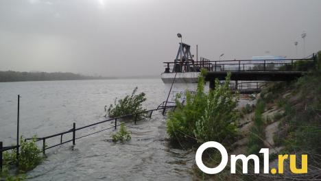 Дырявые причалы в центре Омска вернули государству