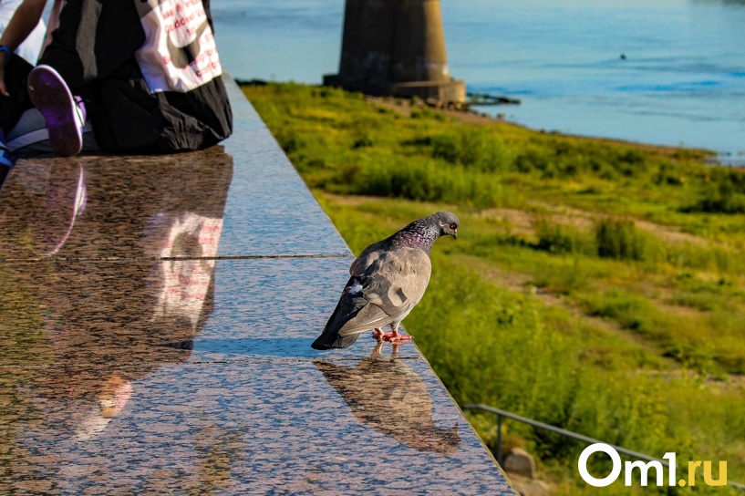 Изображение фоторепортажа