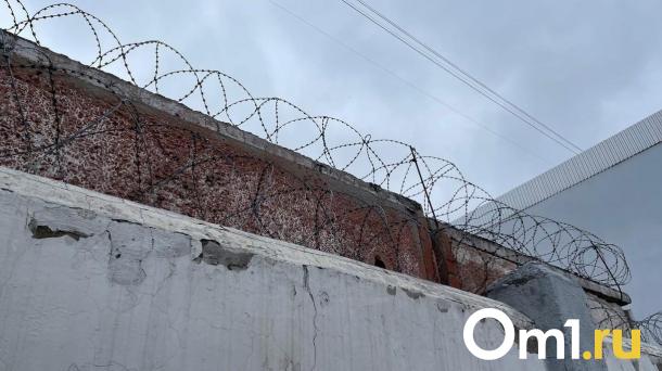 Узбекские мигранты получили сроки за пересечение границы под Новосибирском