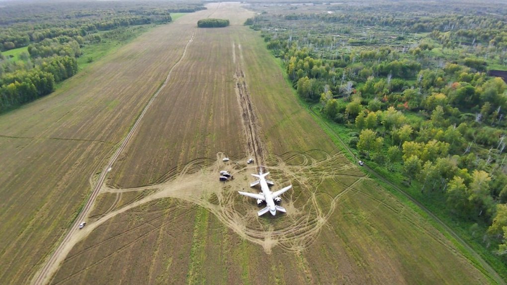 «Зачем мне этот самолёт?»: хозяин пшеничного поля начал пахать землю вокруг Airbus A320