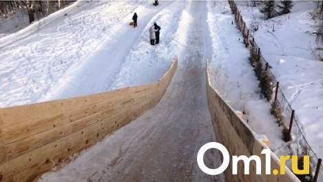 Тело как кусок мяса: вскрылись шокирующие подробности гибели ребёнка после драки на горке в Новосибирске