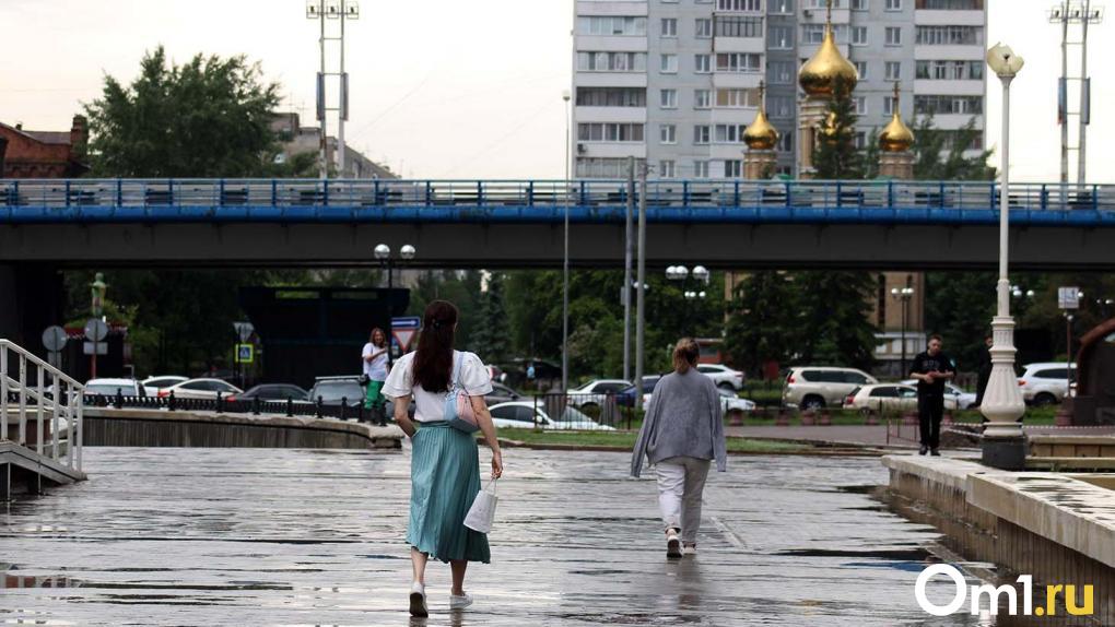 На смену теплу в Омской области идут проливные дожди и туманы