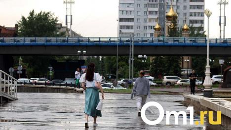 На смену теплу в Омской области идут проливные дожди и туманы