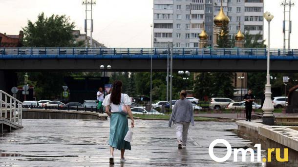 На смену теплу в Омской области идут проливные дожди и туманы