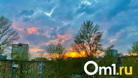 Прекрасная погода ждёт омичей 9 Мая