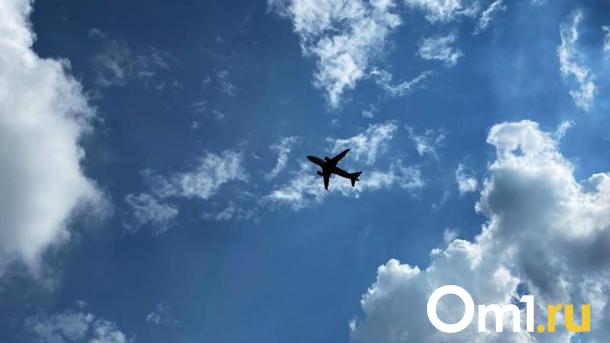 Стала известна цена билета на самолёт из Омска в Горно-Алтайск