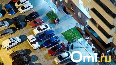 В канун Дня знаний с 14 этажа в Омске выпал школьник