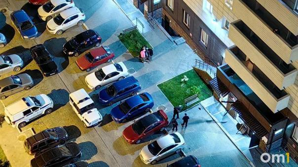 В канун Дня знаний с 14 этажа в Омске выпал школьник