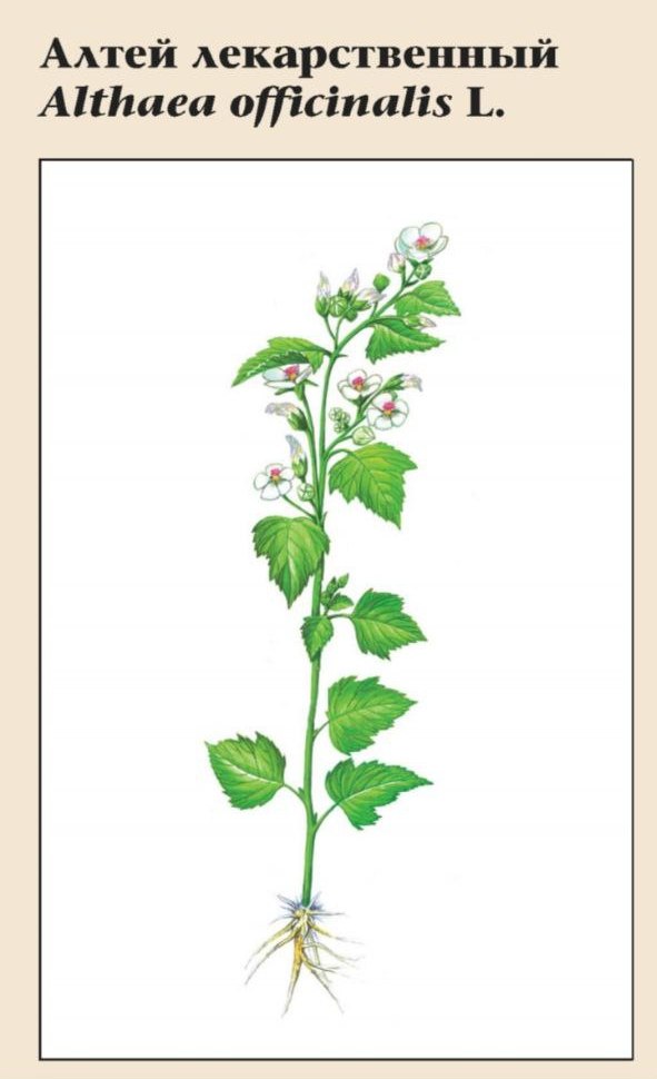 Изображение фоторепортажа